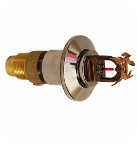 4-inch Submersible Motors  (0.25 through 7.5 KW)